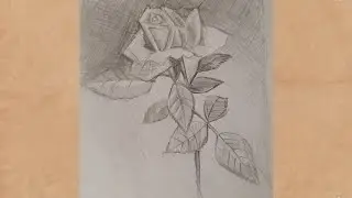 Rose Drawing | How To Draw A Rose | Flower Design Drawing | Flower Art
