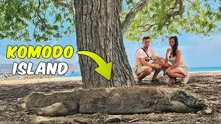 3-TÄGIGE KOMODO-BOOTSTOUR: Einzigartige Reise in Indonesien (Liveaboard im Nationalpark Komodo)