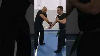 Umbrella vs knife possibilities #ninjutsu #bujin #selfdefense #ninja #shadowwarrior #bujikan #knife