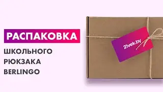 Распаковка — Школьный рюкзак Berlingo Military style