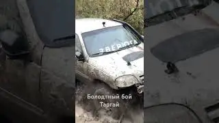 Болотный бой «Таргай»