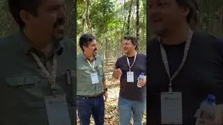 1° dia de campo na fazenda Serra Negra, sistemas Silvipastoril e captação de carbono. Agora dia 9/08