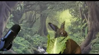 Rabbit Eats Magical Leaf In The Enchanted Forest ASMR