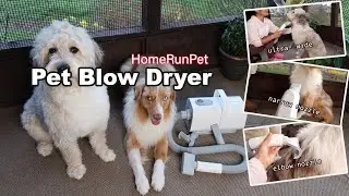 Pet Blow Dryer  Ultra Quiet Grooming Hair Dryer by HomeRunPet