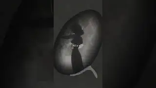 Franz Kafka's Metamorphosis