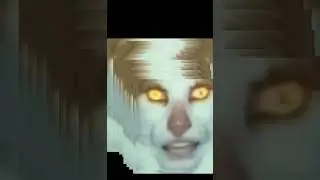 Monday Left Me Broken Cat (EARRAPE, DISTORTED)