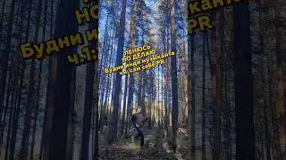 А вы знали, чем занимается инди-музыкант помимо музыки? 