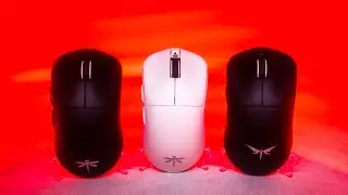 Which 4k Gaming Mouse Is the Best? (VGN Dragonfly F1 MOBA)