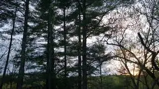DJI Osmo Mobile 2 4K timelapse #2 (sun set)