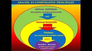 SPSS - ACP ( pca)