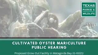 Public Meeting | Proposed Cultivated Oyster Mariculture Sites in Matagorda Bay (G-0021)