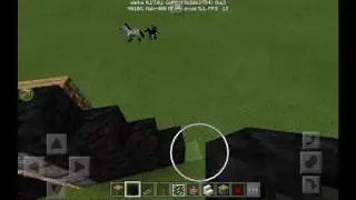 WTF,Minecraft PE?