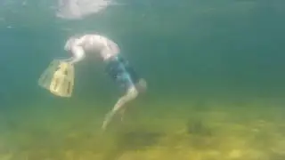Back backflip. Hand fin