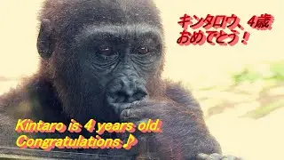Happy New Year, Kintaro at 4 years old!