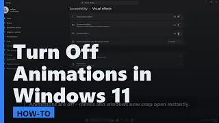 How to Turn Off Animations in Windows 11 (Faster PC)