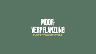 Moorverpflanzung für Fortgeschrittene