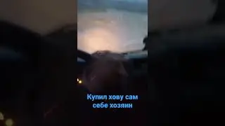 купил хову