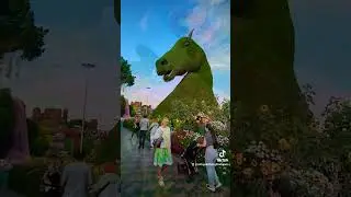 Amazing place Dubai Miracle Garden 😍🇦🇪 
