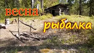 Весна звуки природы лес озеро рыбалка