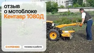 Мотоблок Кентавр 1080Д в работе, разблокировка дифференциалов (kronos5.by/kronos5.ru)