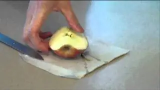 Comparing Apples and...Earth?