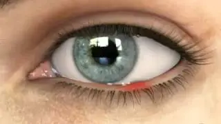 Ячмень
