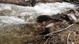 Beautiful foot near Fern Creek