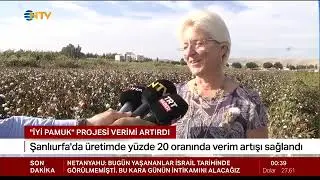 İyi Pamuk Projesi ile 1830 Çiftçi 380 Bin Dekarlık Alanda Lisanslı İyi Pamuk Üretiyor