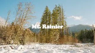 Paradise Days | Film Photography at Mt. Rainier