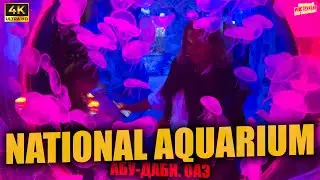 NATIONAL AQUARIUM 🇦🇪 Абу-Даби. ОАЭ ( 4K Ultra HD! )