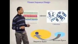 Protein Structure - Stephen Mayo (Cal Tech)