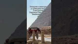 #экскурсия #египет #каир #пирамиды #пирамидыгизы #путешествия