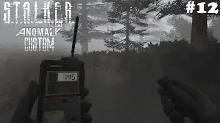ЕЖИК В ТУМАНЕ - STALKER ANOMALY CUSTOM #12