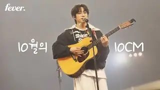 𝐏𝐥𝐚𝐲𝐥𝐢𝐬𝐭 🍁늦가을에 듣기 좋은 10CM 플리｜가을 인디 노래 추천 1시간 플리