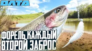 Ловля БЕШЕНОЙ ФОРЕЛИ в августе. Поездка на Обь. Обзор новинок компании «Олта».