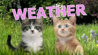 Weather - Rathergood Chat episode 9