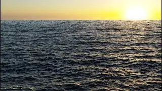 Ocean Photorealistic [Blender] | Obsti