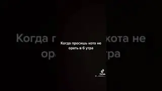 Кот говорящий рот. Когда просишь кота не орать в 6 утра.