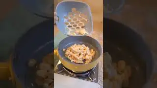 biili Kya kar rhi he #tiktok #biili #cat #shorts #BIILI