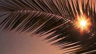 Jebase - Somebody Else (feat.Leadley)