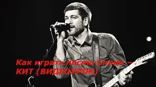 Как играть песню Сплин – КИТ (ВИДЕОУРОК)