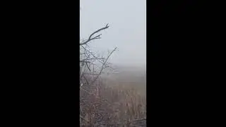 Где то за ,,лентой,,