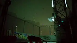 Stray