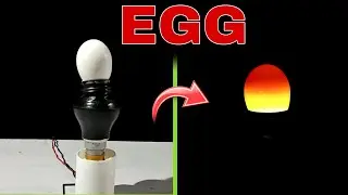 अण्डा बल्ब की तरह कैसे जल रहा है? - How the Egg is burning like a Bulb #mrindianhacker #crazyxyz