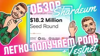 Как легко получать роли в проектах | Обзор проекта Shardium | Тестнет и Активности