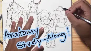 relaxing anatomy study | chill sketching