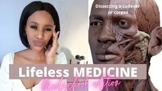 First experience with Cadaver/ Corpse- Uni Edition| First Lifeless patient| Dr Ann