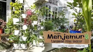 Cara Praktis Menjemur Tanaman Indoor | Unboxing Dan Merakit Rak Tanaman Beroda