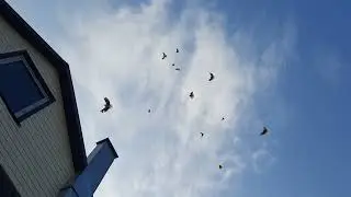 Немного шевелим 02 07 2023 года