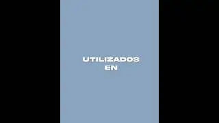 Preset *VITAL SoundBank Reggaeton 2023